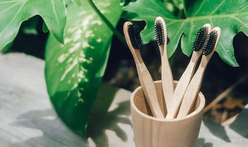 Bamboo Toothbrushes For Better Oral Health