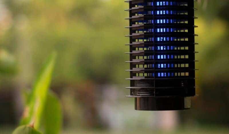 Bug Off! 15 Simple Ways to Stay Comfortable Outside