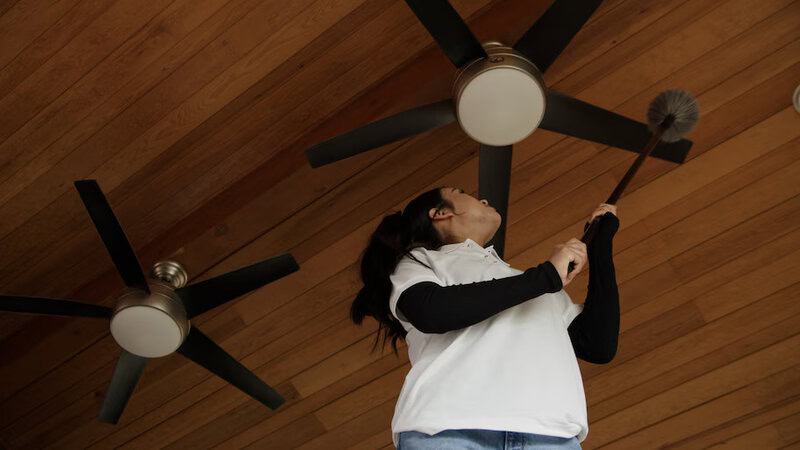 Celling Fan Cleaning