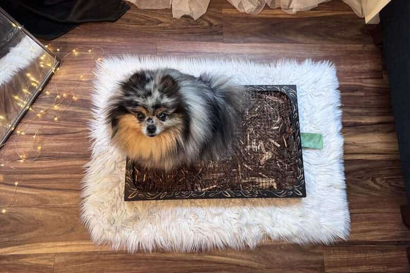 Minimalist Floor Cushion