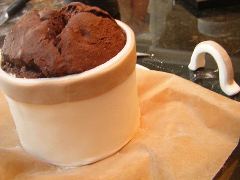 Chocolate Cum Coffee Mug