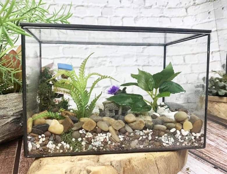 Fish Tanks (used As Indoor Greenhouses)