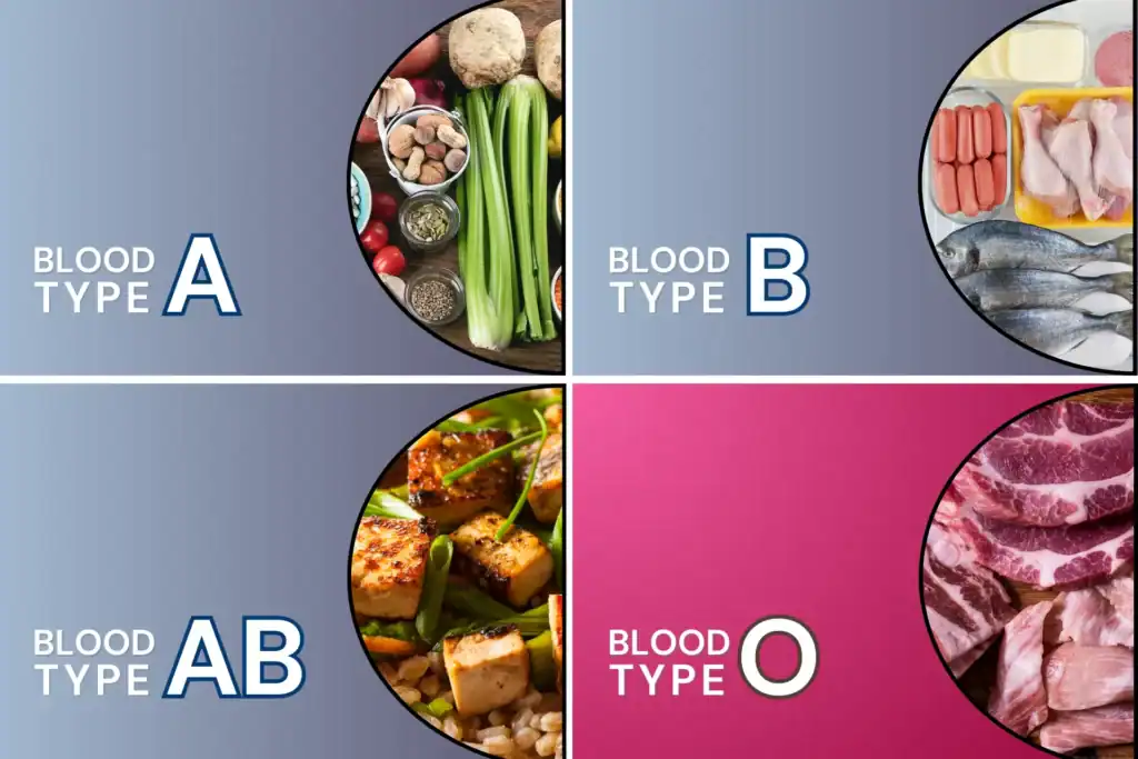 O Blood Type Diet