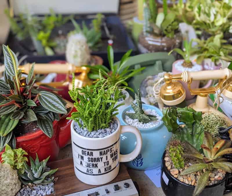 Crafting Unique Planters from Upcycled Items