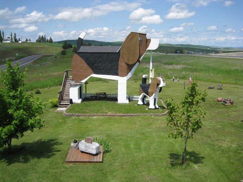 The Dog Bark Park Inn (idaho, Usa)