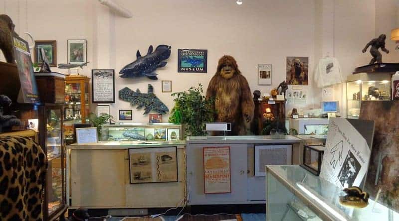 The International Cryptozoology Museum (portland, Maine, Usa)