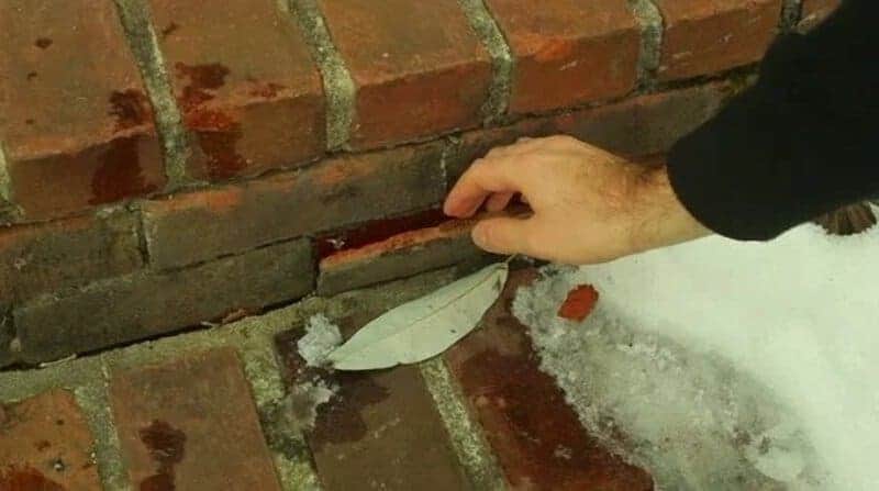 Tinywow Download 2025 02 19t133940.206 75431241