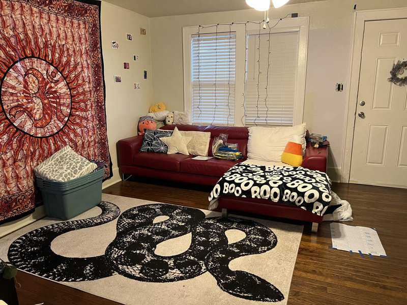 Odd & Wonderful: The Best Weird Home Decor Trends You’ll Love