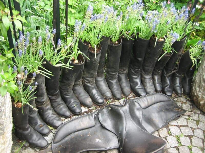 2979607920 Bff9cdefd2 B