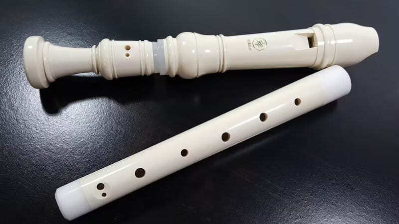A Plastic Recorder From Elementary School Music Class
