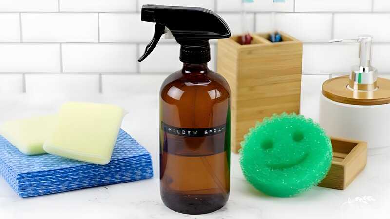 Homemade Mold And Mildew Spray (1)