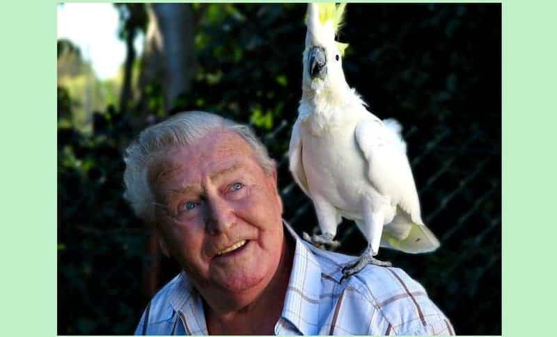 Lifelong Friends: The Longest-Living Pets You Can Actually Grow Old With