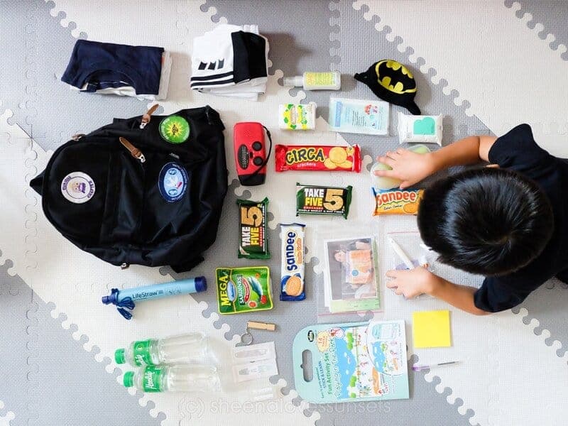 The “go Bag” For Car Emergencies