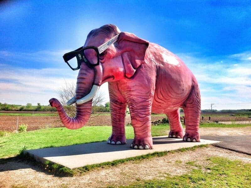 The Pink Elephant - Deforest, Wisconsin