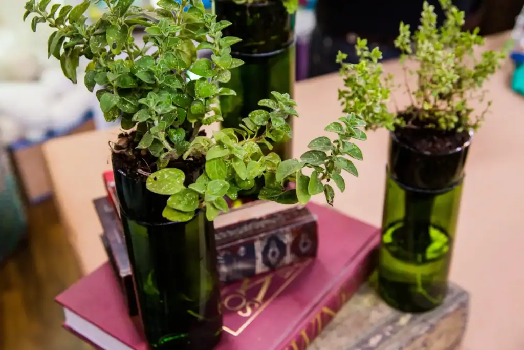 Wine Bottle Planter