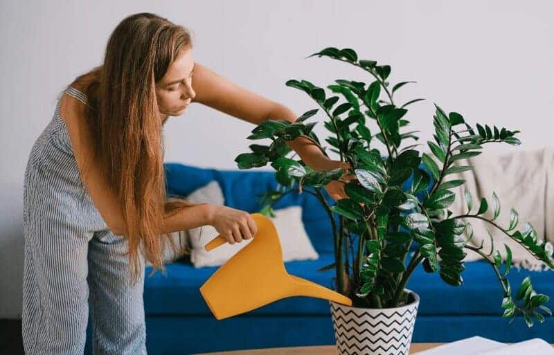 25 Everyday Habits the Pandemic Made Normal