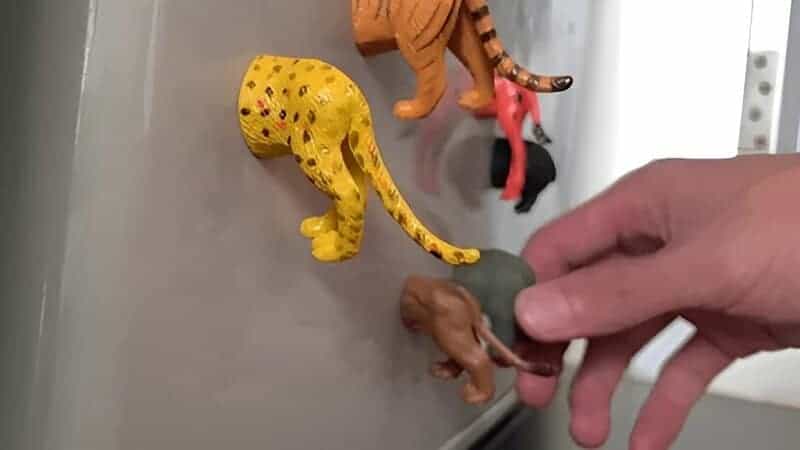 Download 2025 04 30t220259.787 (1)