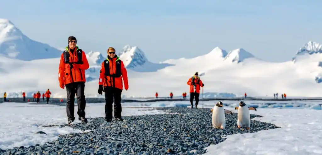 Highlights Of Antarctica Expedition Banner Image Scaled