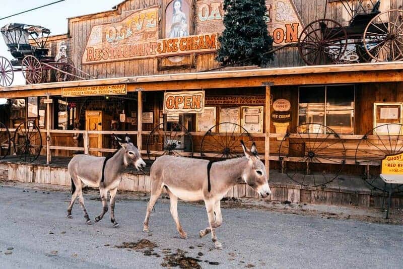 Oatman, Arizona