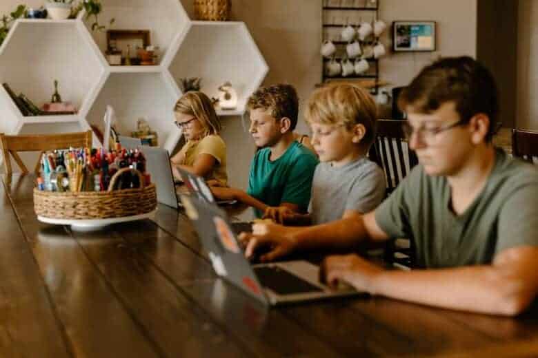 Online Learning And Skill Building