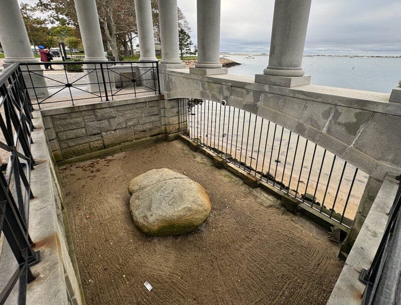 Plymouth Rock 5