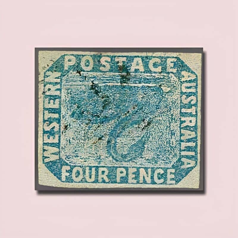 The Australian Inverted Swan (1855)