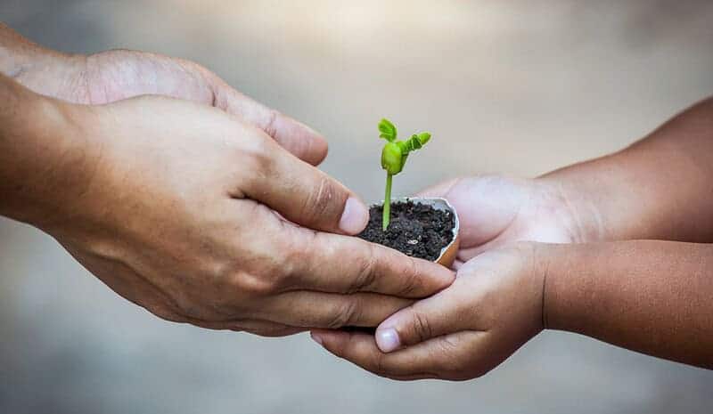 The Changing Landscape Of Environmental Awareness