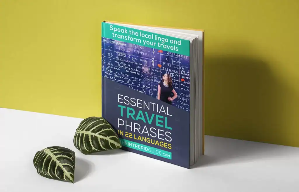 Travel Phrases In 22 Languages Guide