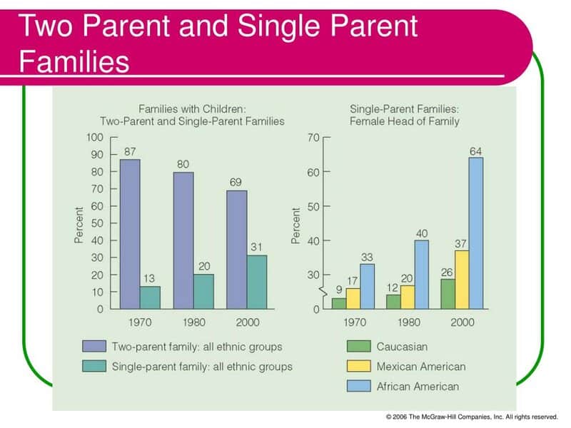 Two Parent And Single Parent Families L