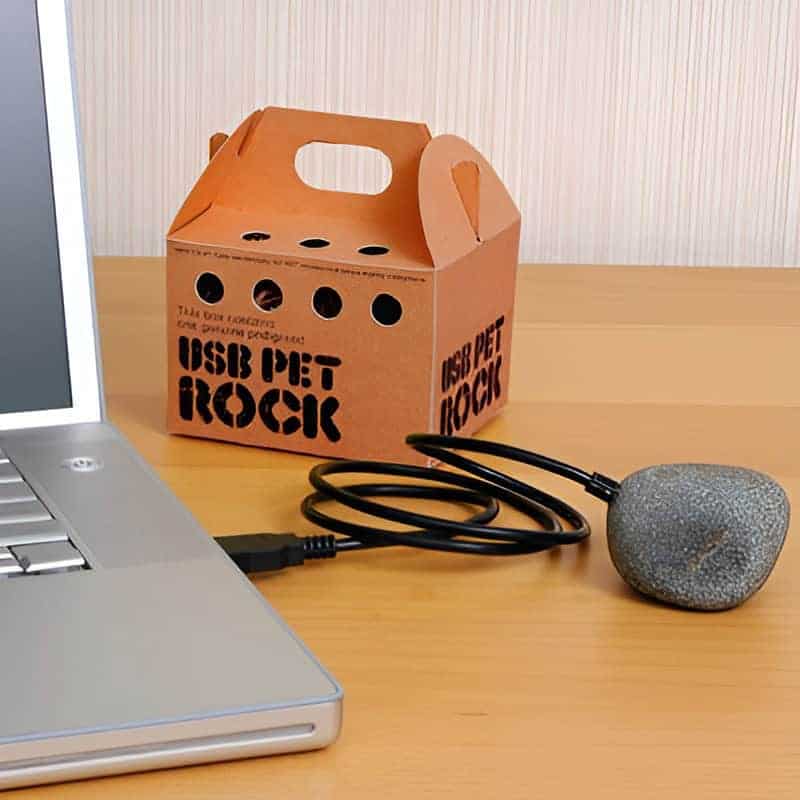 Usb Pet Rock
