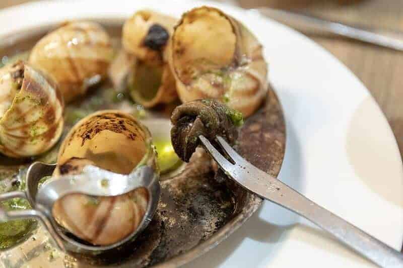 17. Escargot - France