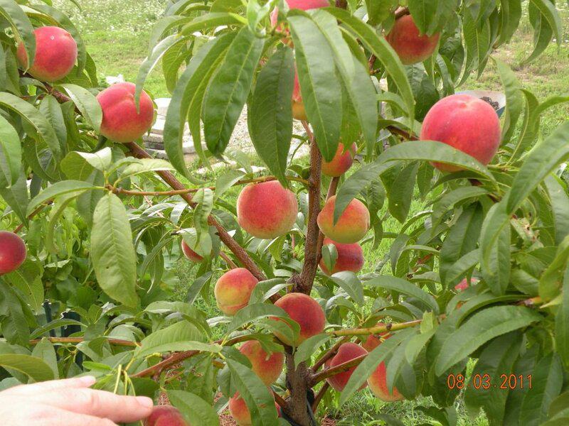 8bcf32e70120eacac403091700214d14