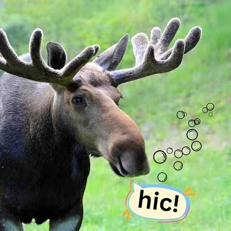 Download 2025 05 05t140135.786 (1)