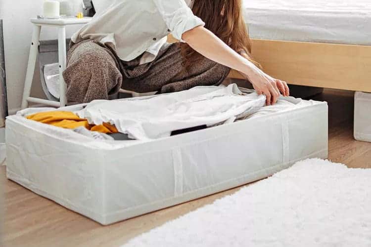 Download 2025 05 26t120858.505