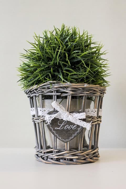 Fake plant 594290 960 720