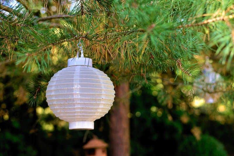 Lampion 3630261 960 720
