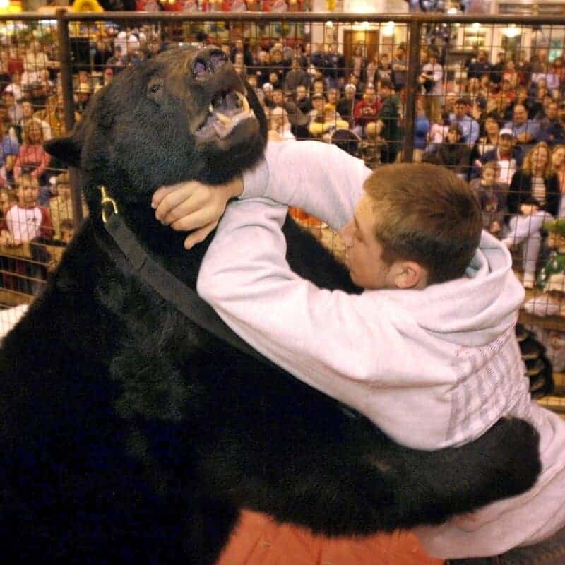No Bear Wrestling - Oklahoma