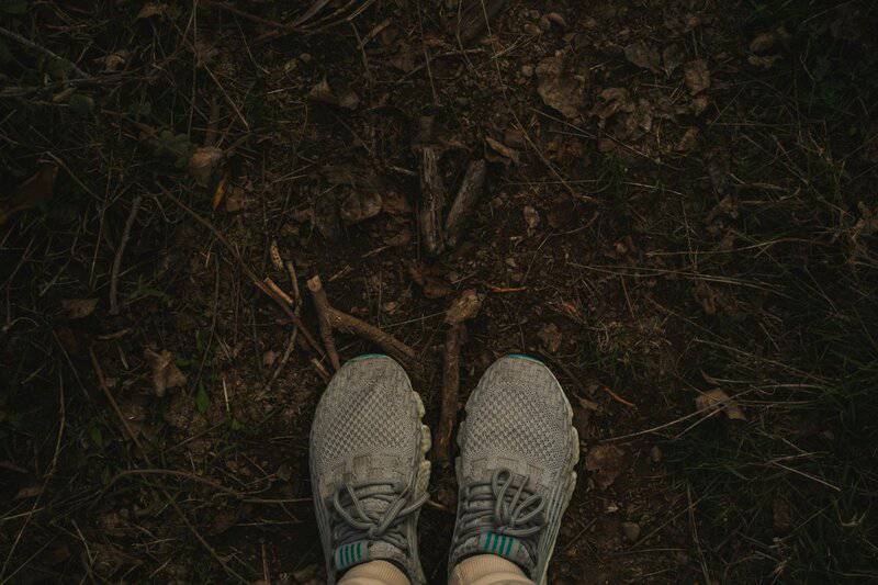 6. Take a Daily Walk