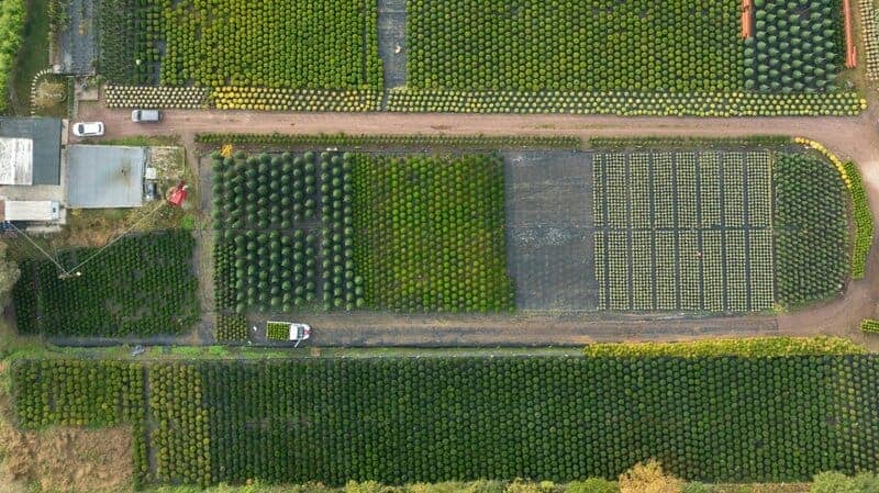 Determine Your Garden Size