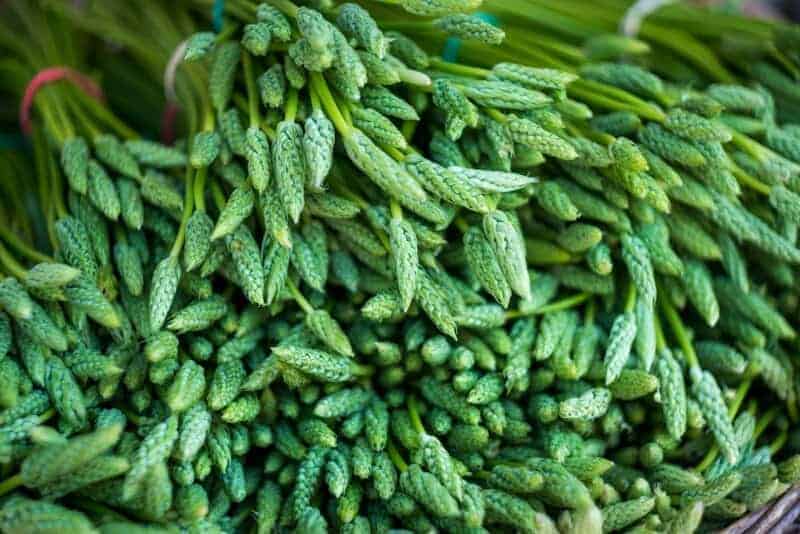 8. Recognizing Harvest Time
