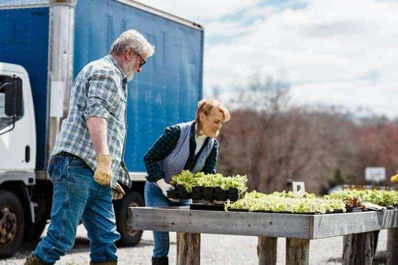 Use Quality Seeds or Seedlings