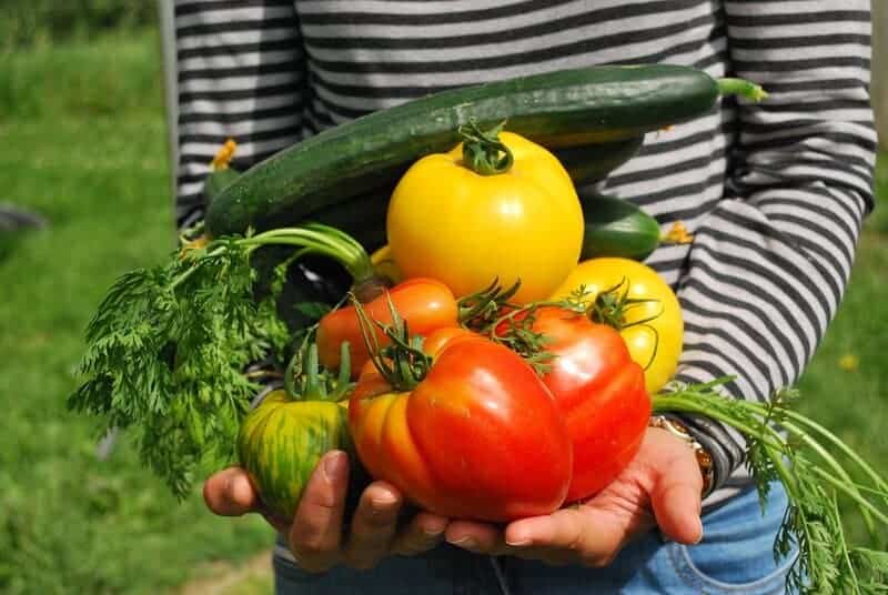 Vegetables 742095 960 720