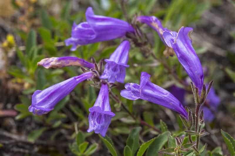 23811405925 d394347ba2 b