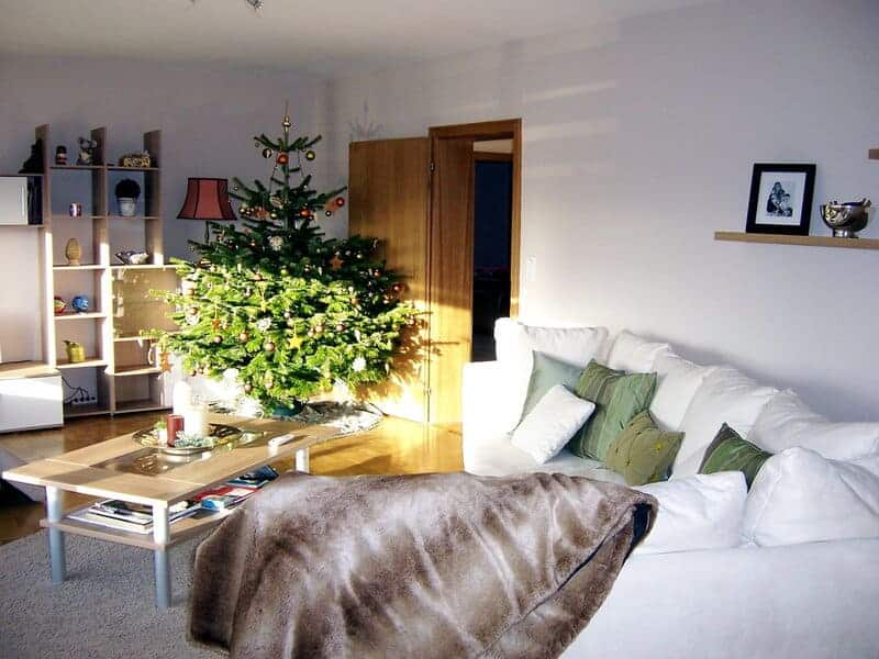 331725949 2cb1aaf9cd b