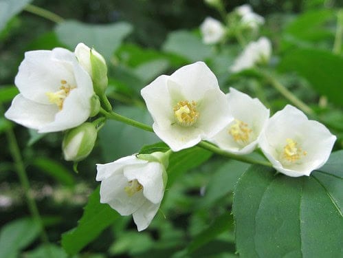 3620295343 84dc8f5677