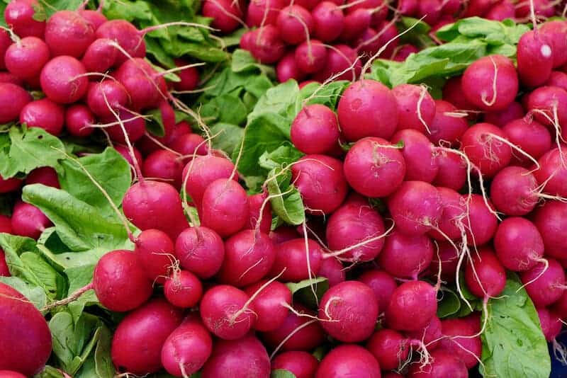 51230144268 dfedff7415 b