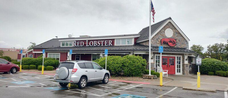 53732959653 a767551d93 b