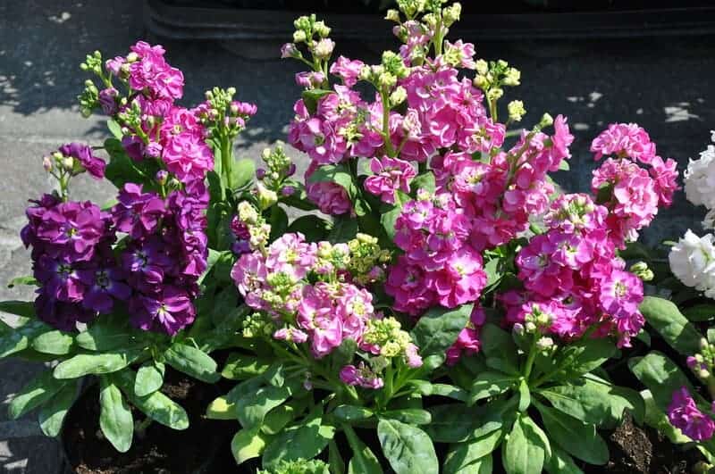 5634773412 ca1e3f6351 b