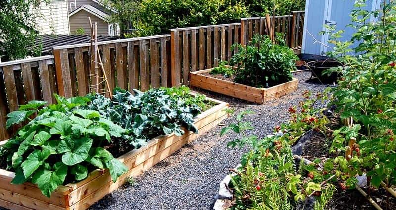 5920166348 cdc48d213d b