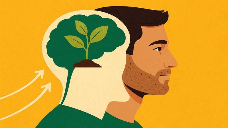 How to Cultivate a Growth Mindset in Adulthood